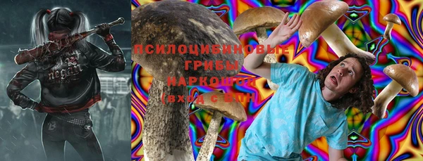 бошки Бронницы